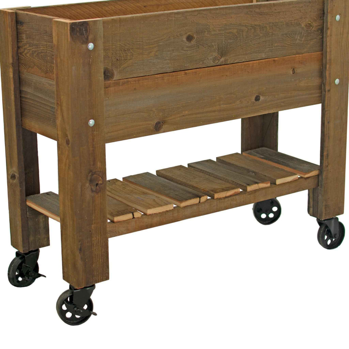 5in Black Casters - Swivel with Brakes - Lee Display