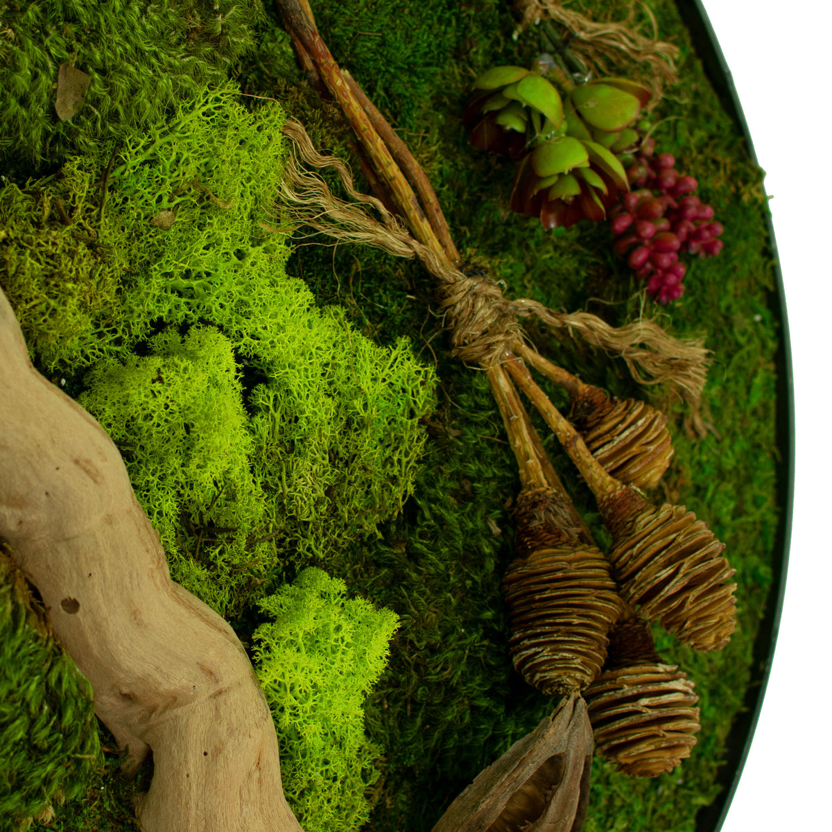 A closeup photo of the side of the circular preserved moss and succulent wall decor frame