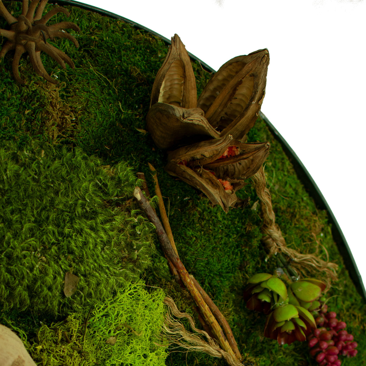 A closeup photo of the side of the circular preserved moss and succulent wall decor frame