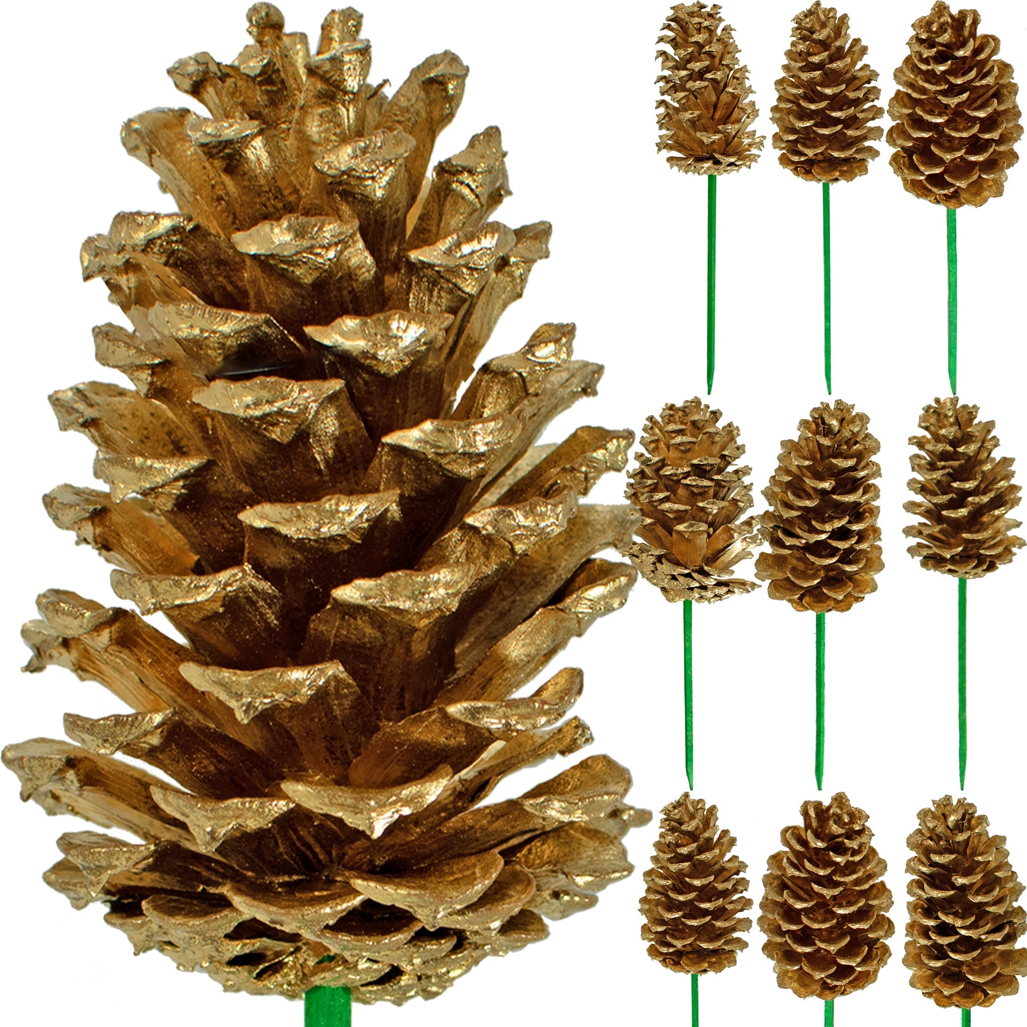 Gold Painted Pine Cones Christmas Decorations Natural Elements