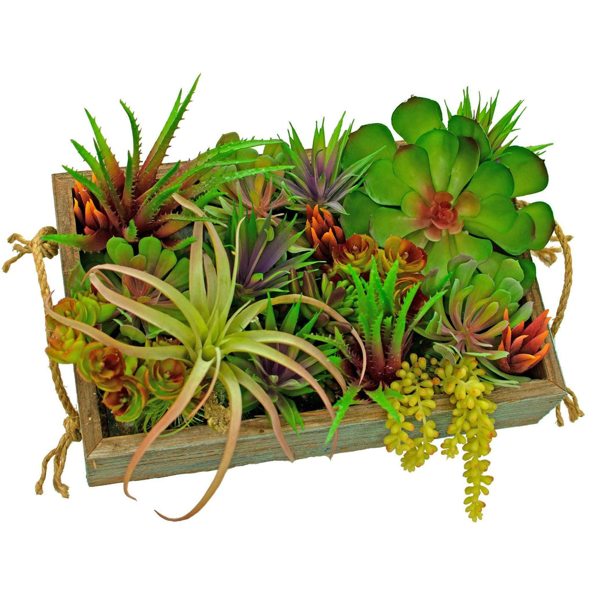 Artificial Succulent Planter Box - Lee Display