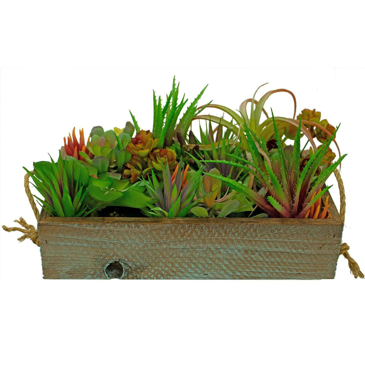 Artificial Succulent Planter Box - Lee Display