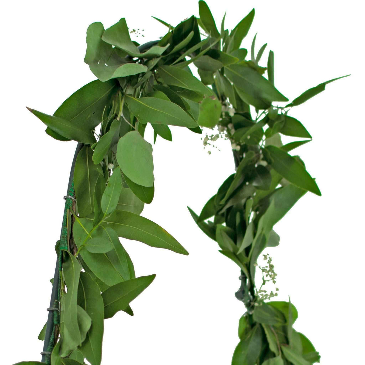 Bay Leaf Hanging Heart Wreath - Lee Display