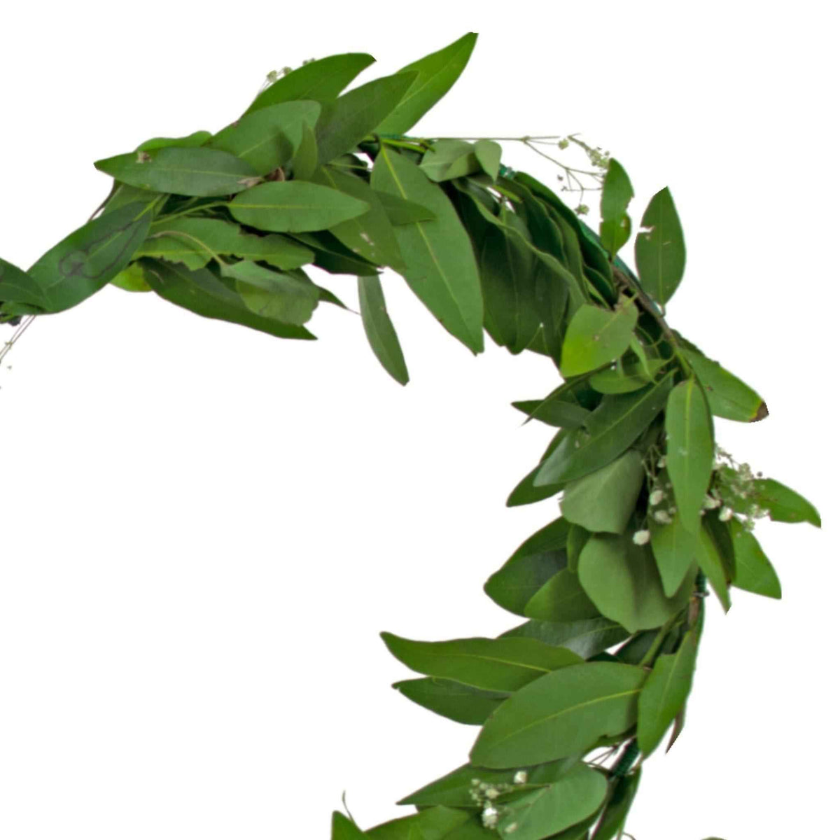 Bay Leaf Hanging Heart Wreath - Lee Display