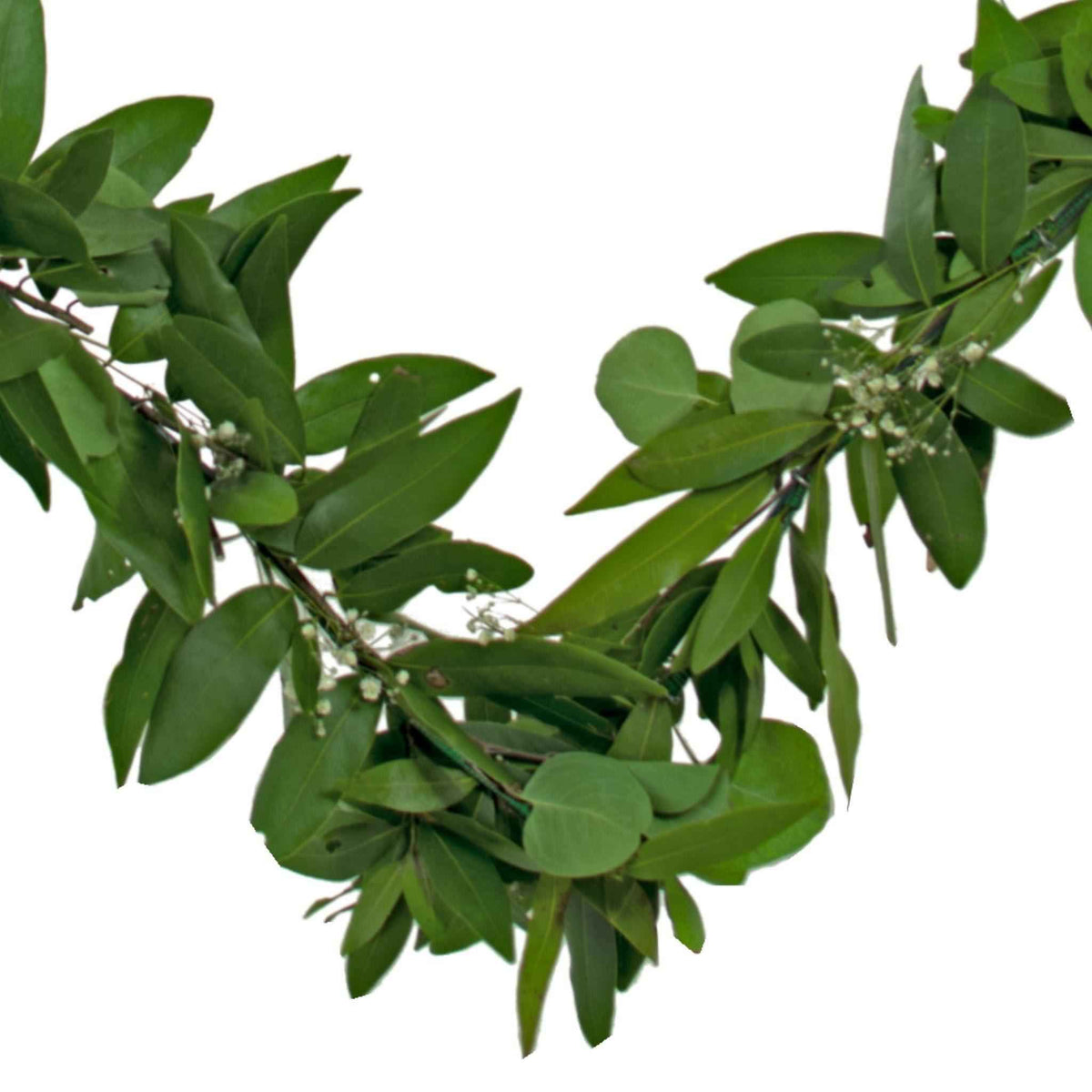 Bay Leaf Hanging Heart Wreath - Lee Display