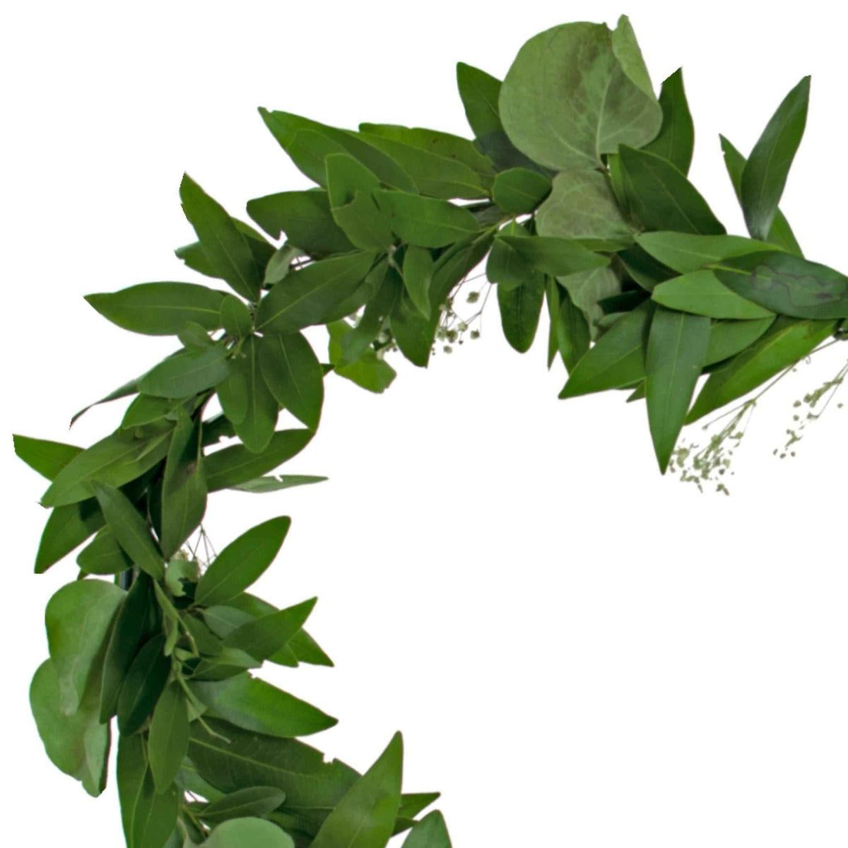 Bay Leaf Hanging Heart Wreath - Lee Display