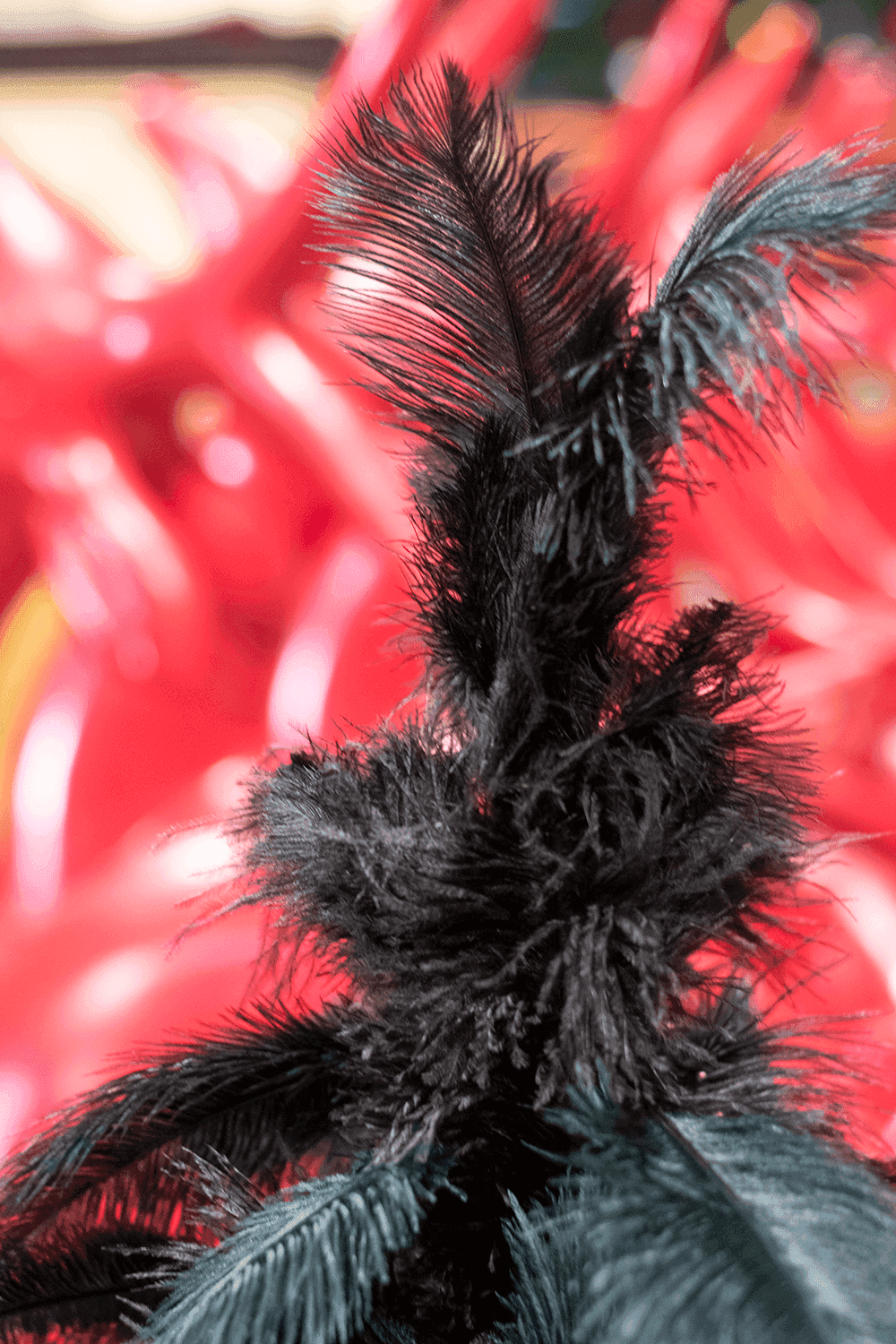 Black Ostrich Feather Tree - Lee Display
