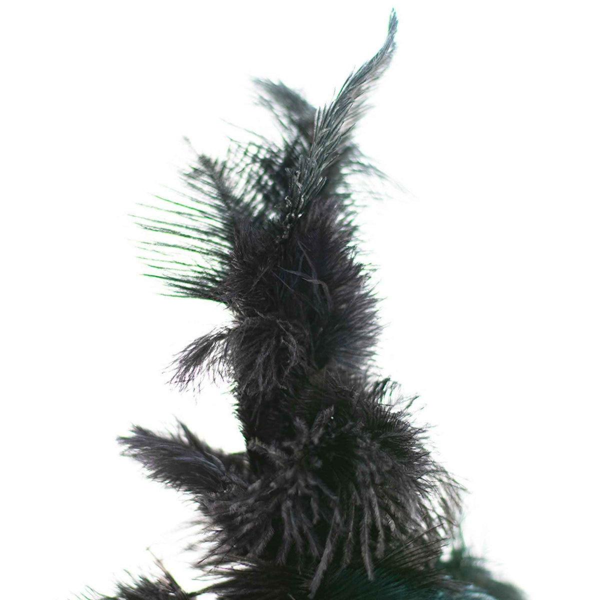 Black Ostrich Feather Tree - Lee Display
