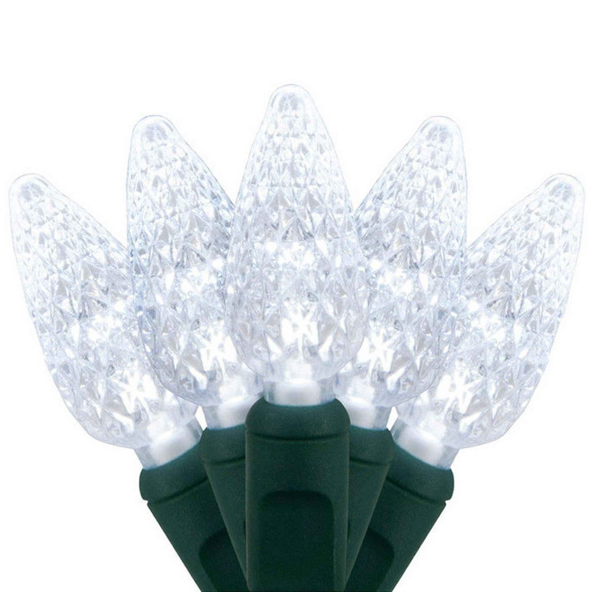 C6 LED Cool White Lights - Lee Display