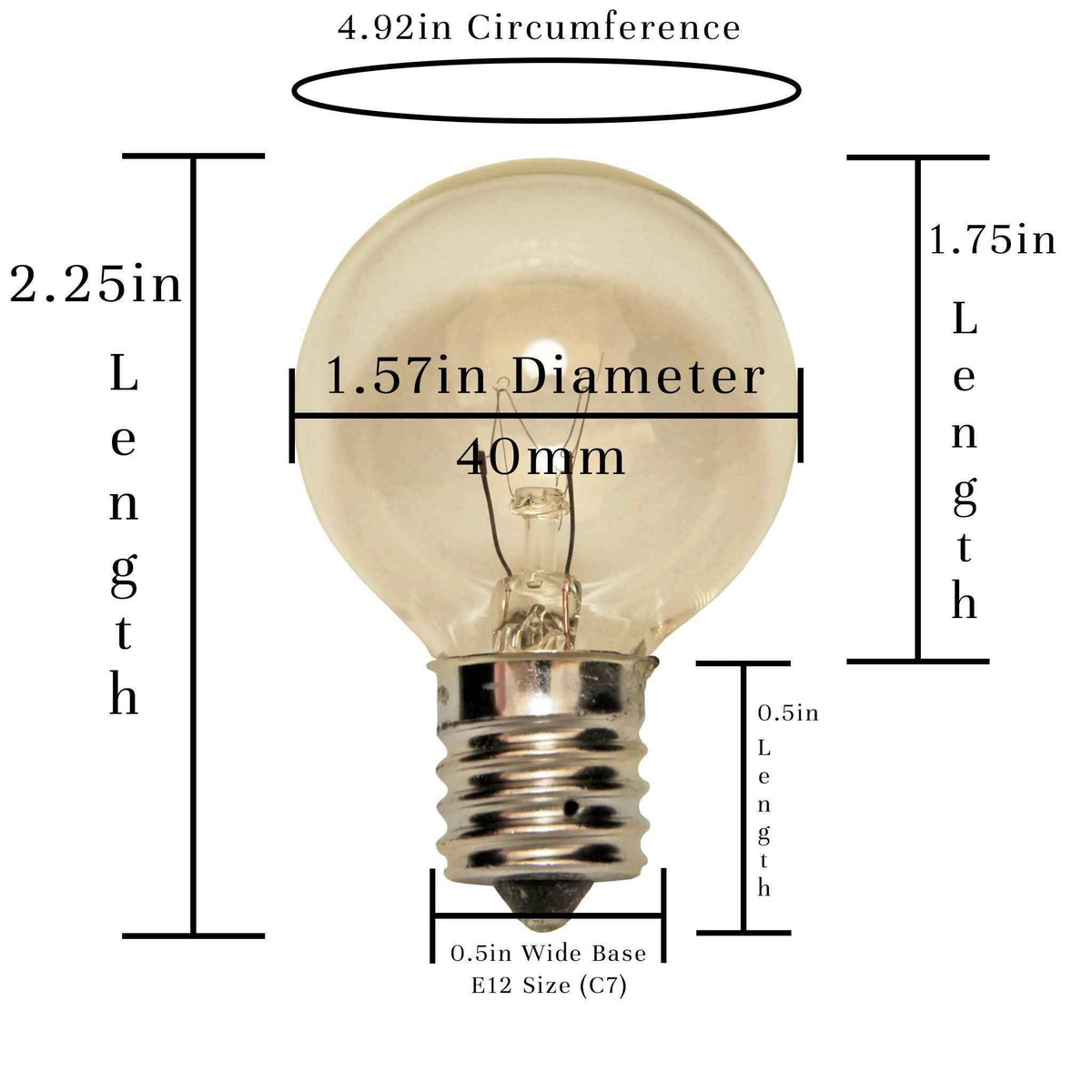 Clear G40 Light Bulbs - Lee Display