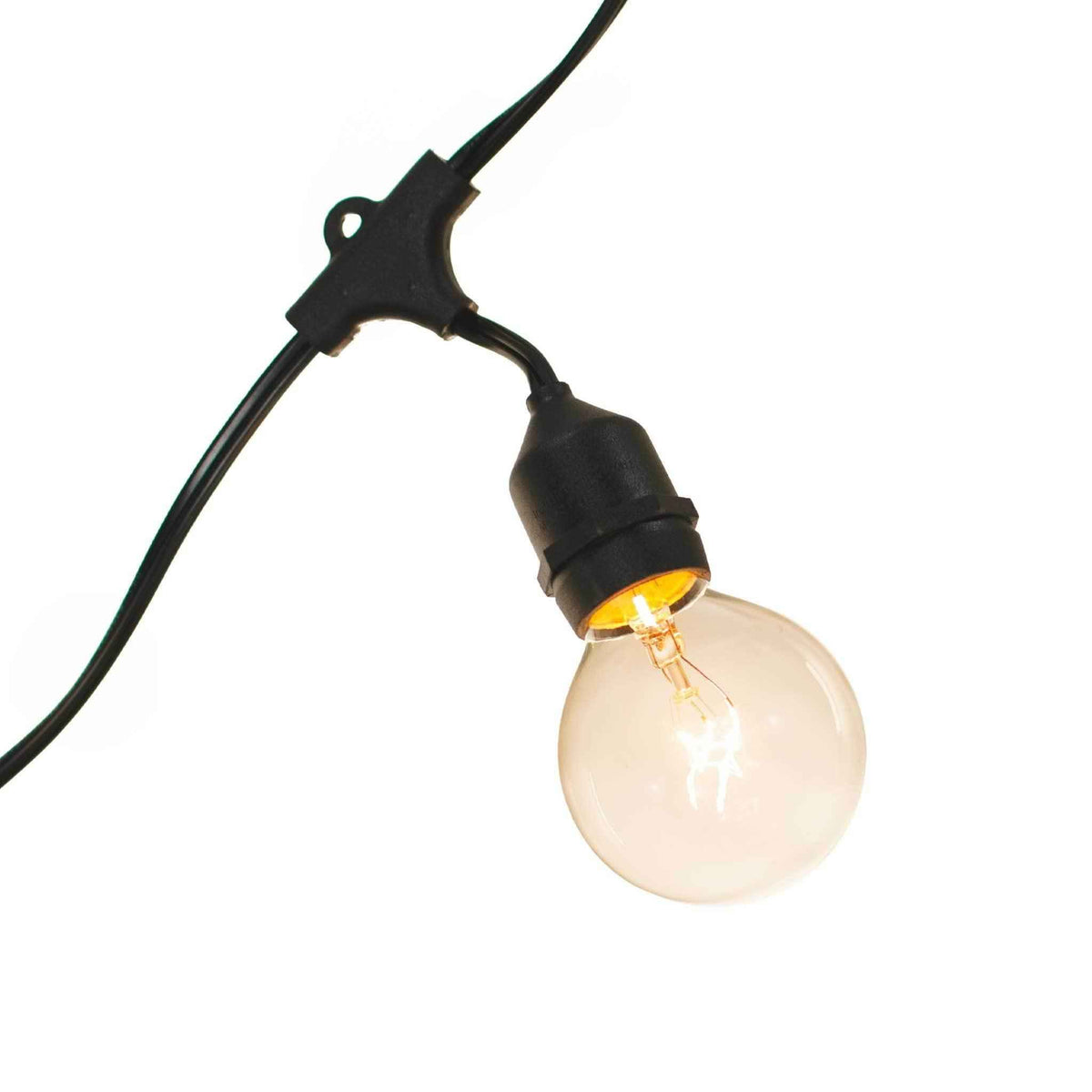Clear G50 Globe Light Bulbs - Lee Display