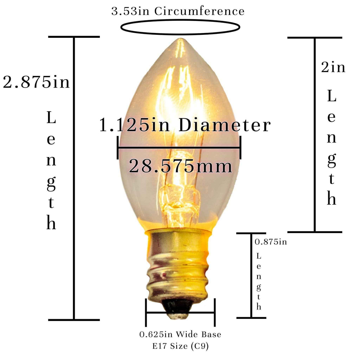 Clear Outdoor String Lights - Lee Display