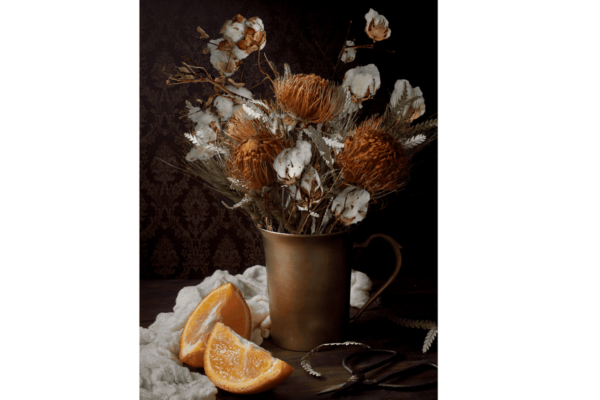 Cotton Stalk Natural Branch - Lee Display
