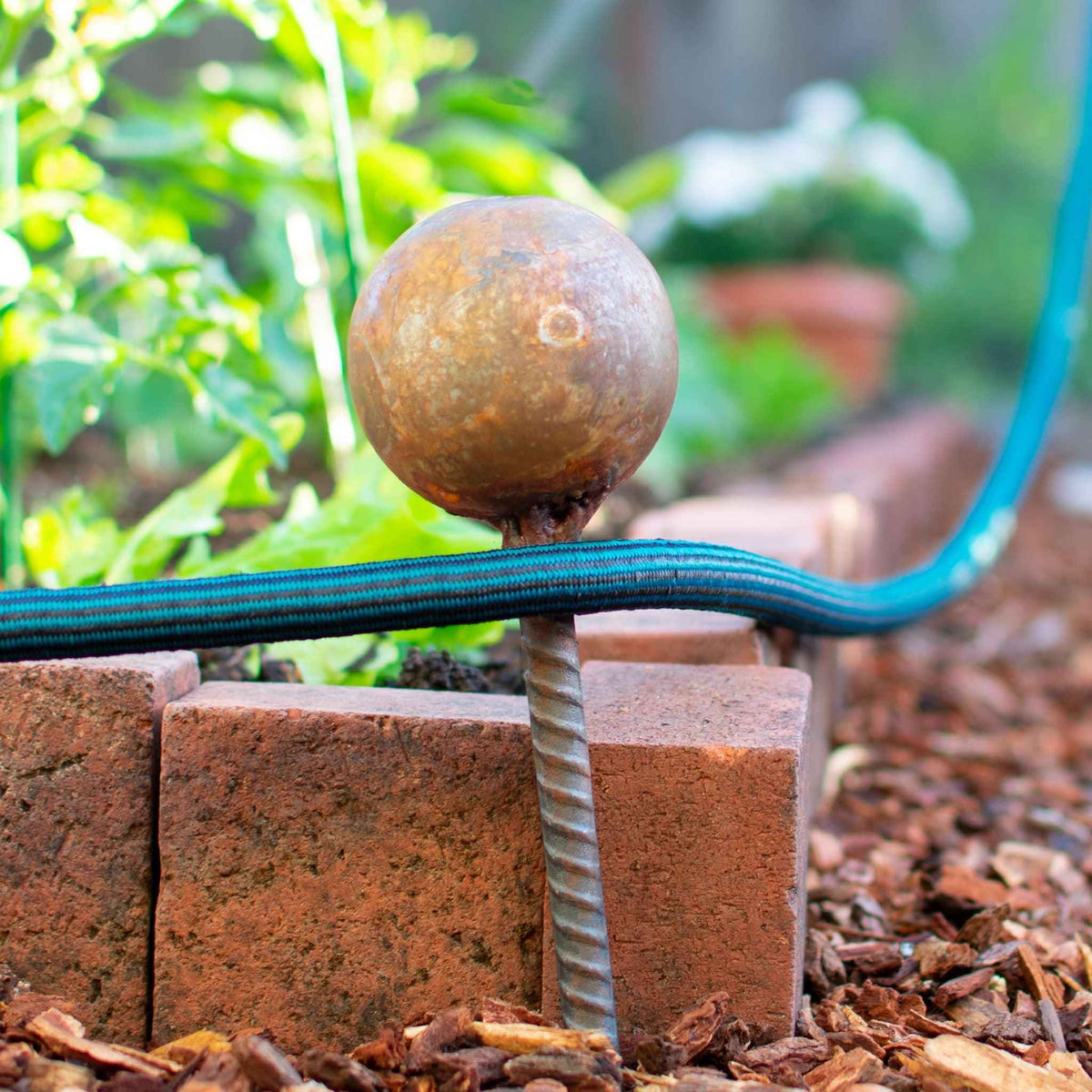 Garden Hose Stake Guides - Lee Display