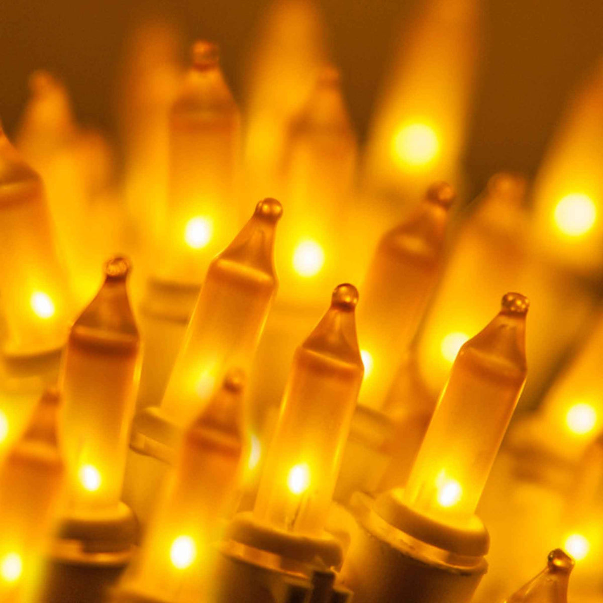 Gold Christmas Lights - Lee Display