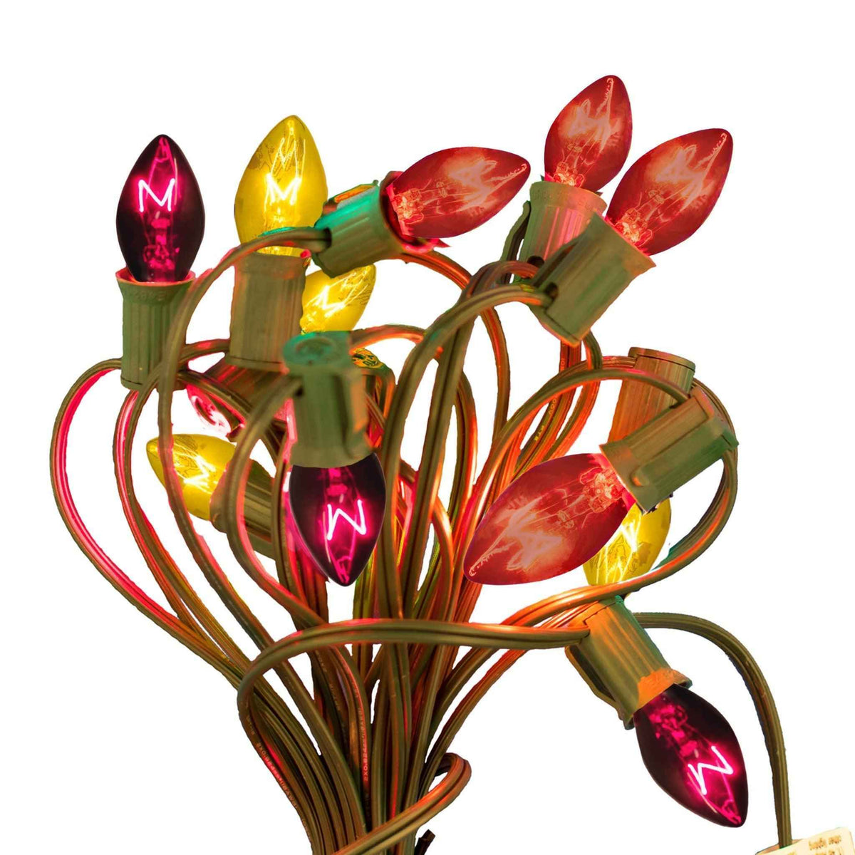 Halloween Outdoor String Lights - Lee Display