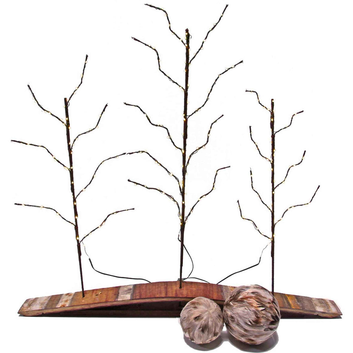 LED-Lit Branch Display - Lee Display