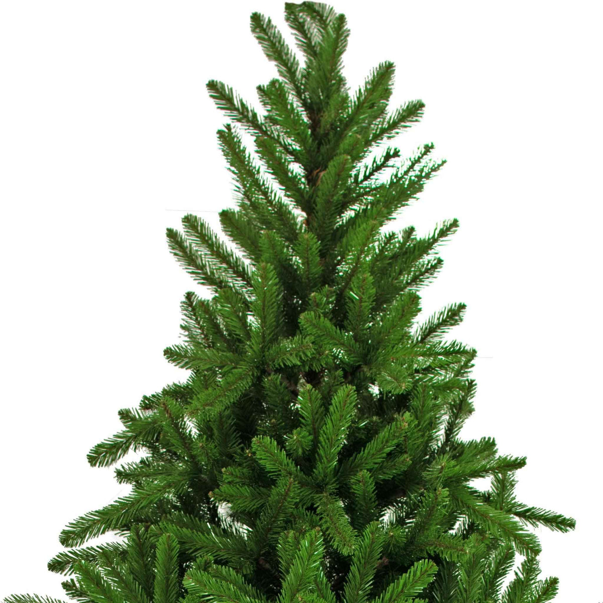 Luxe Christmas Douglas Fir Tree - Lee Display