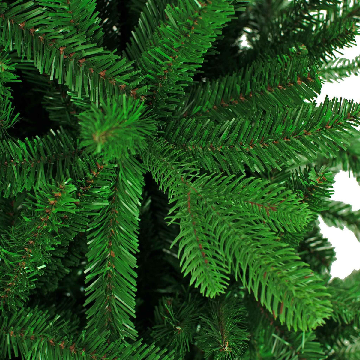 Luxe Christmas Fraser Fir Tree - Lee Display