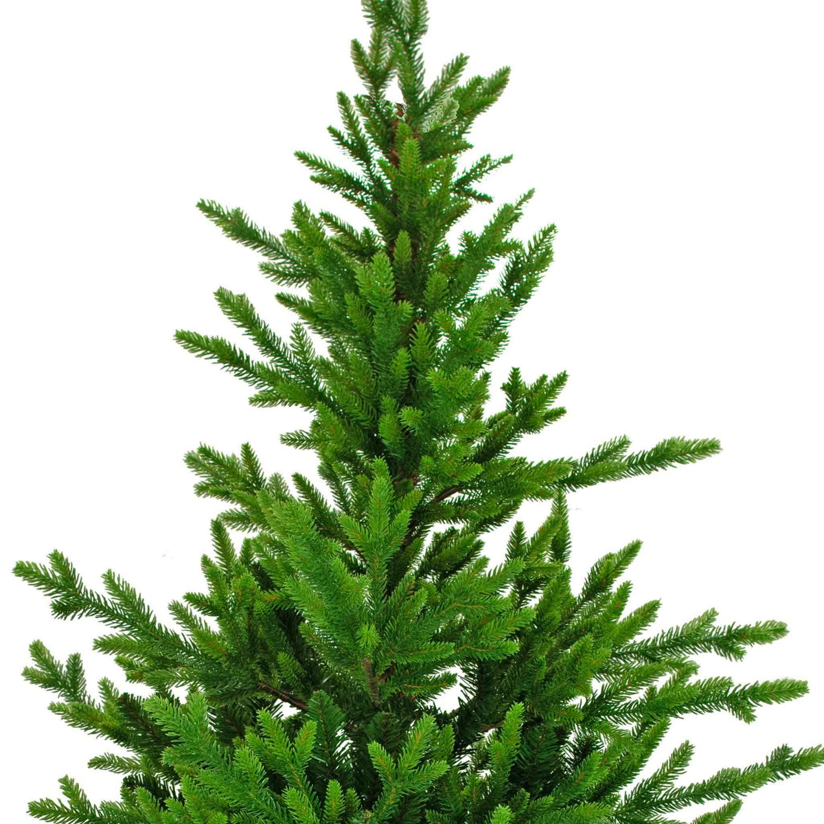 Luxe Christmas Noble Fir Tree - Lee Display
