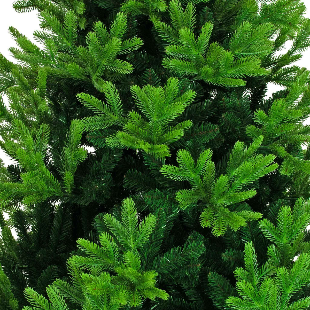 Luxe Christmas Norway Spruce Tree - Lee Display