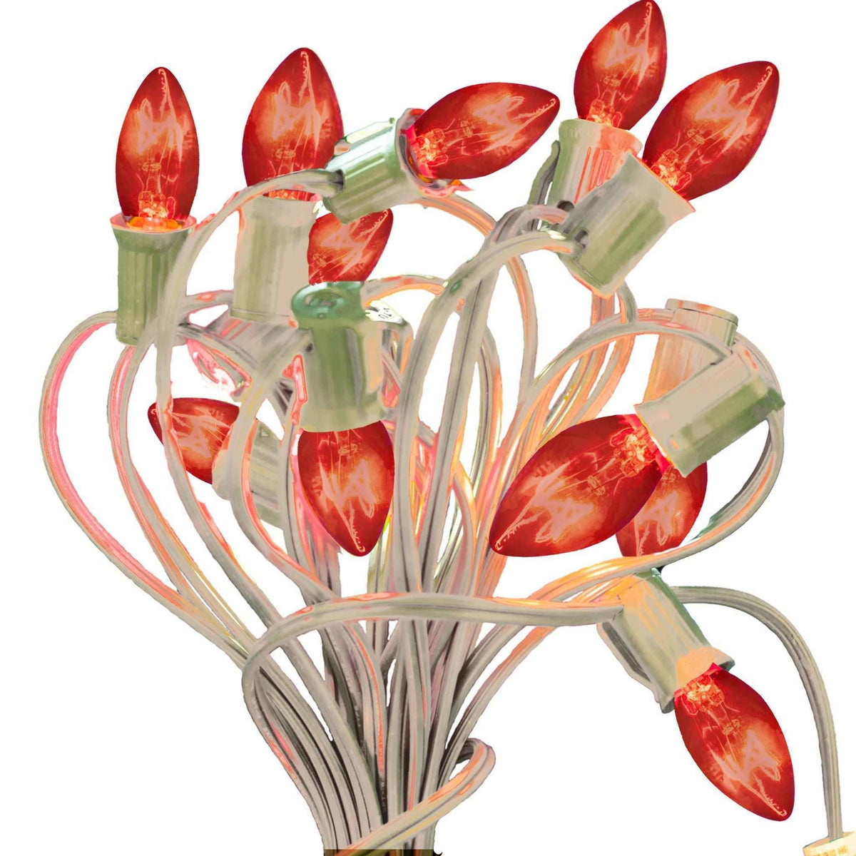 Orange Light Bulbs - Lee Display