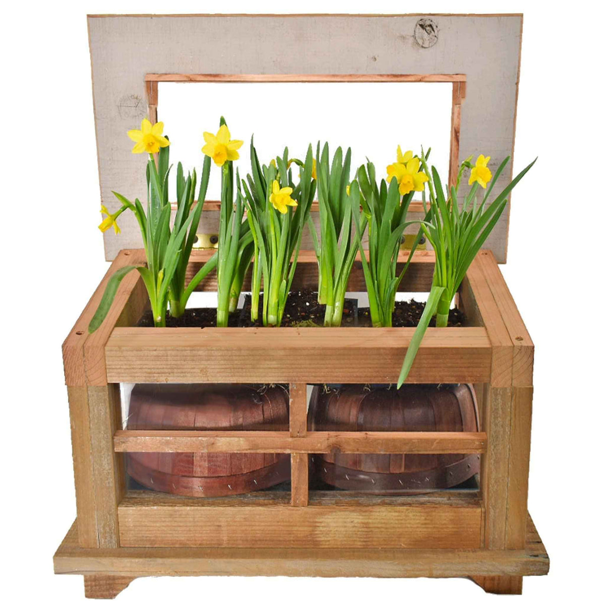 Outdoor Gardening Planter Box - Lee Display