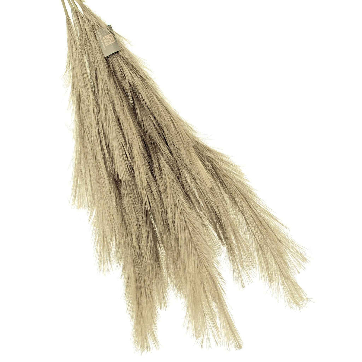 Pampas Grass Sprays - Lee Display