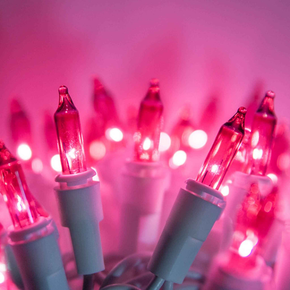 Pink Christmas Lights - Lee Display