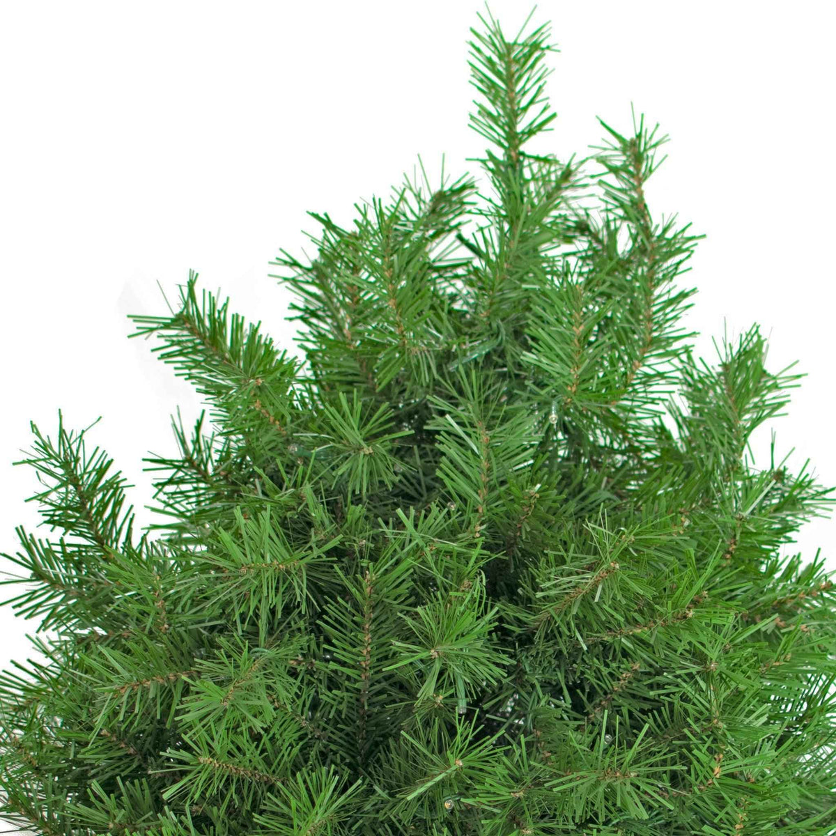 Premier Pre-Lit Pine Christmas Tree - Lee Display