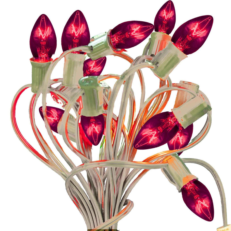Purple Outdoor String Lights - Lee Display