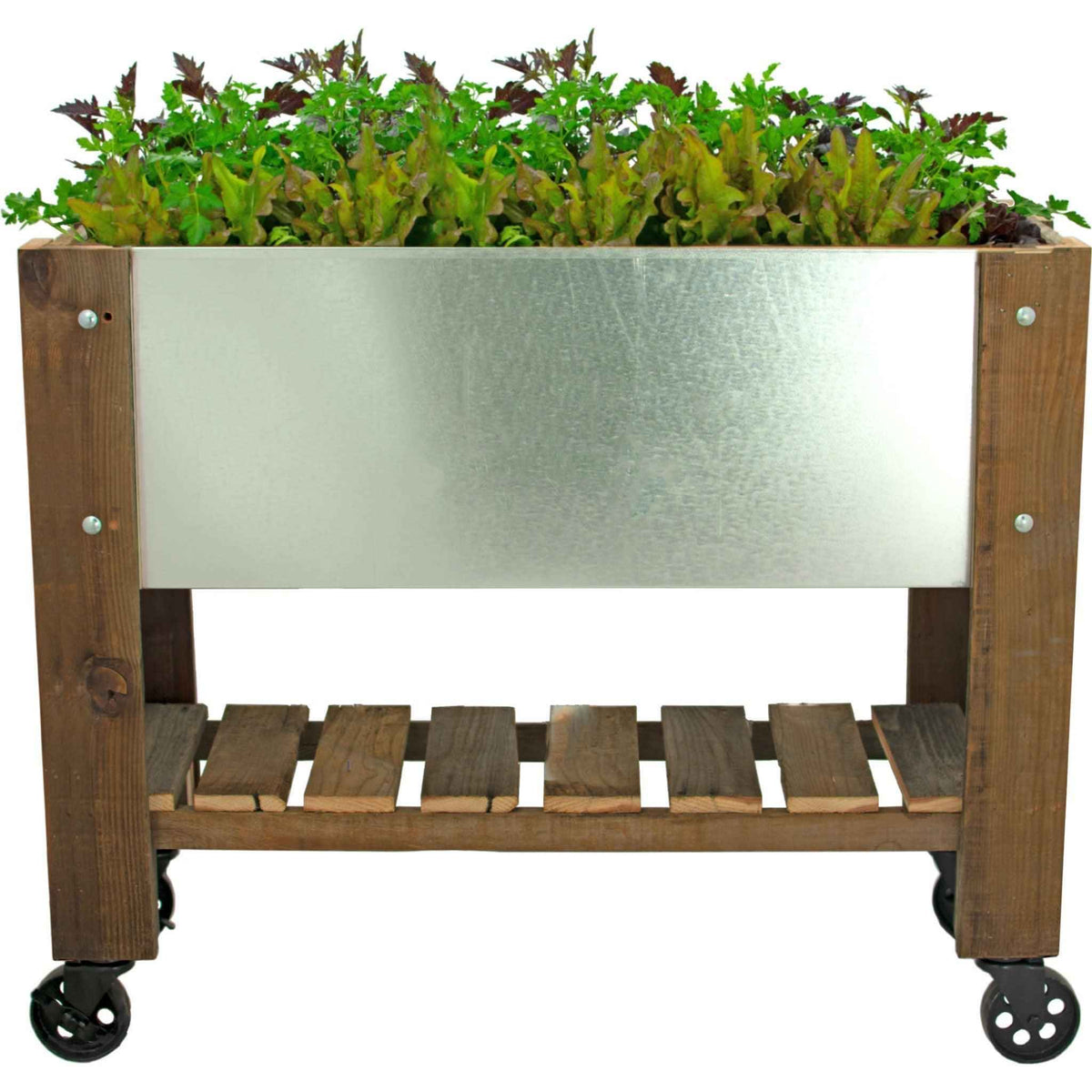 Raised Bed Planter Box on Casters - Lee Display
