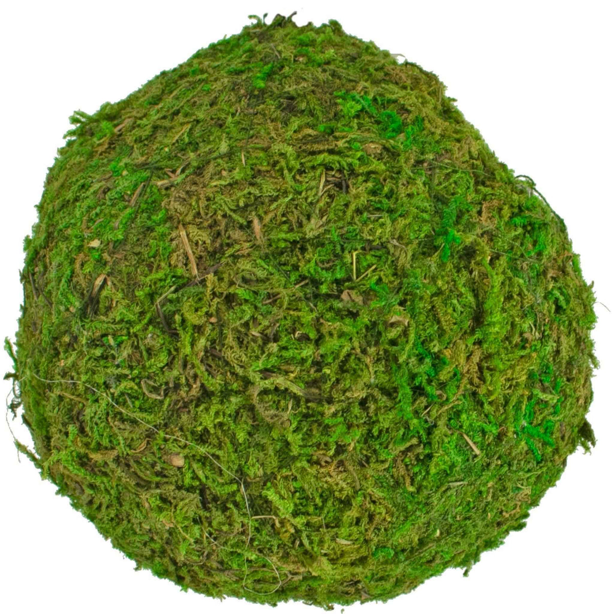 Real Decorative Moss Balls - Lee Display