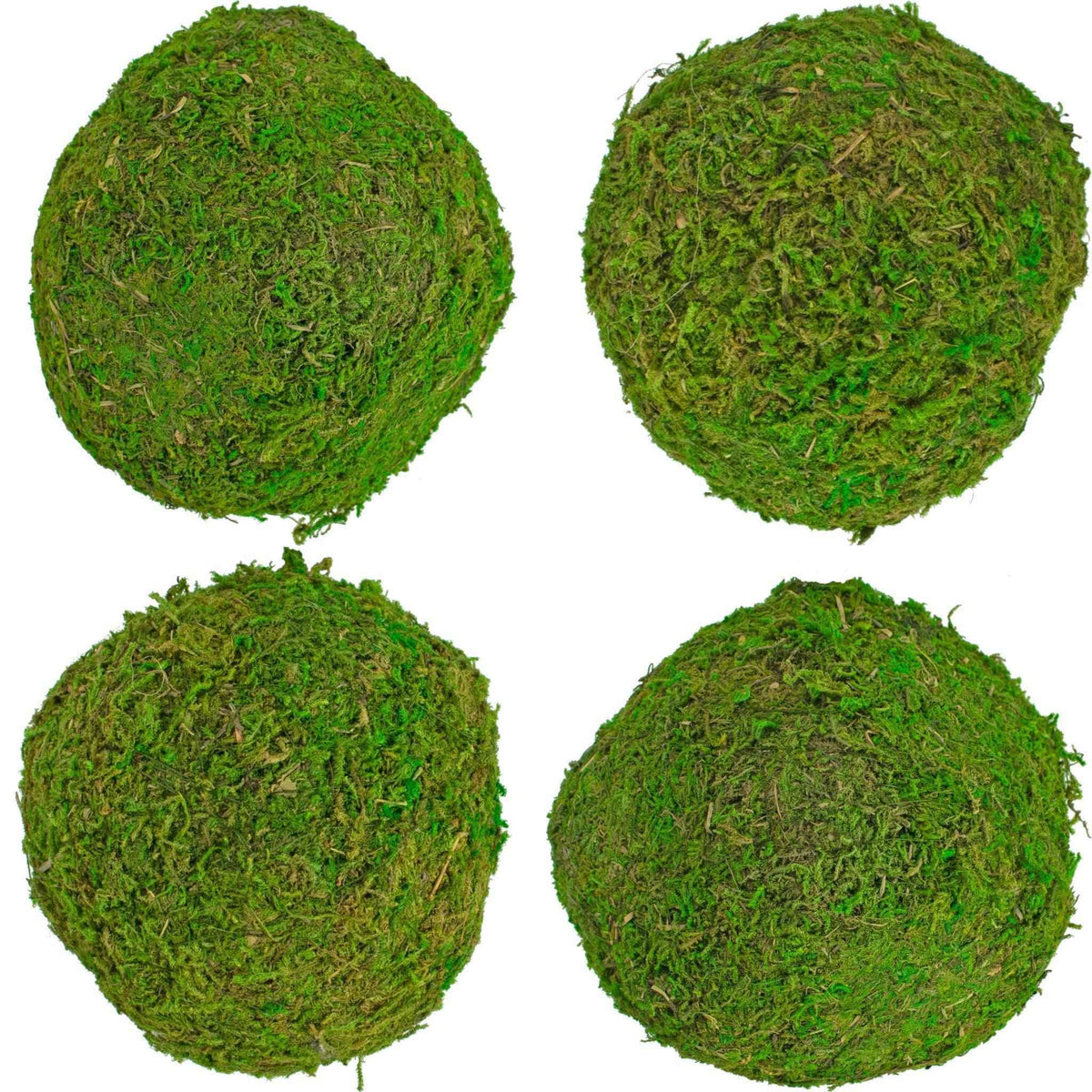 Real Decorative Moss Balls - Lee Display