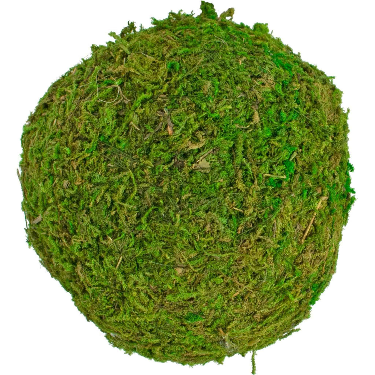 Real Decorative Moss Balls - Lee Display