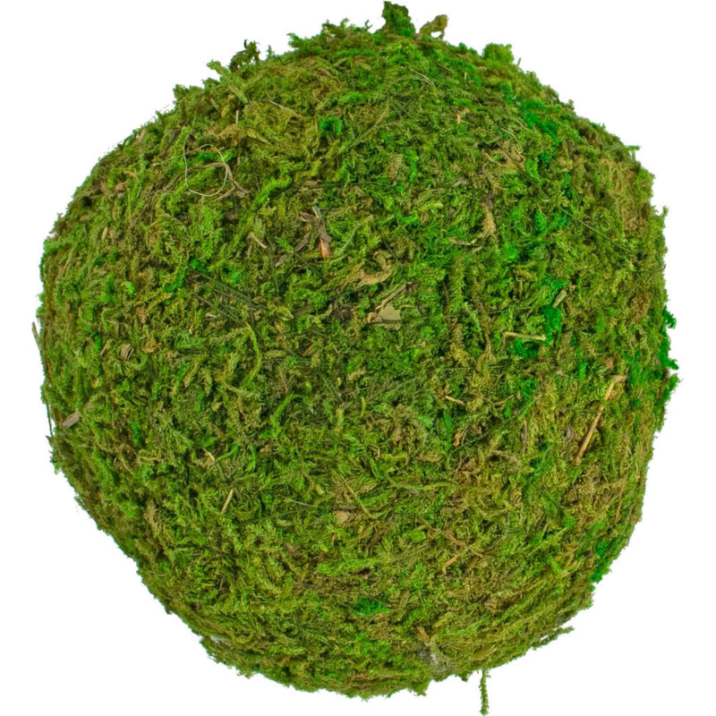 Real Decorative Moss Balls - Lee Display
