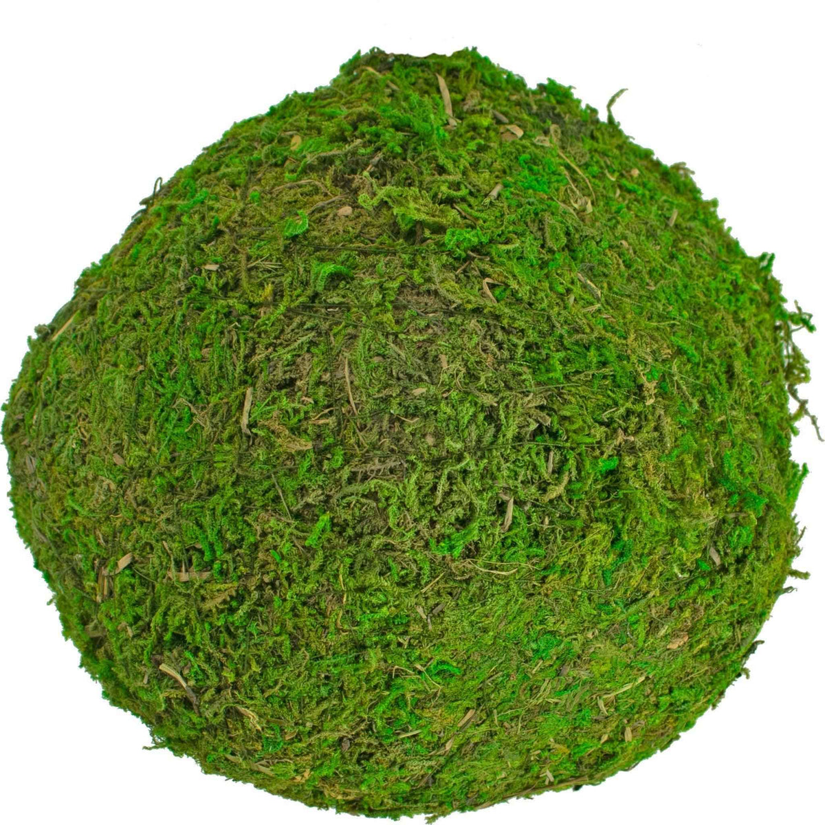 Real Decorative Moss Balls - Lee Display