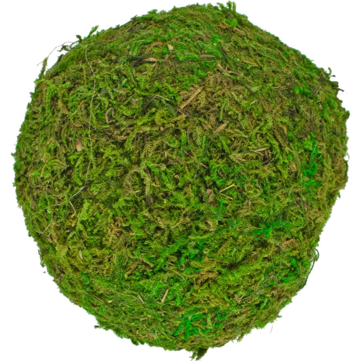 Real Decorative Moss Balls - Lee Display