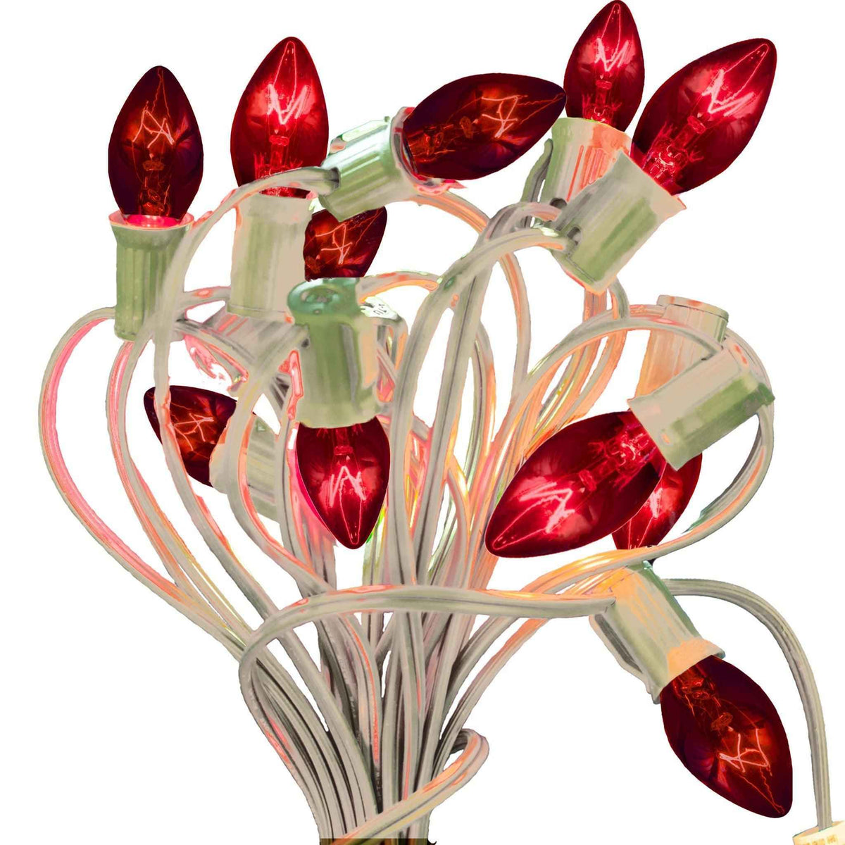 Red Light Bulbs - Lee Display