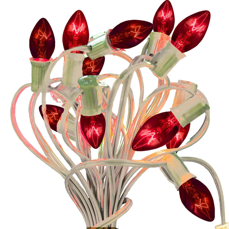 Red Outdoor String Lights - Lee Display
