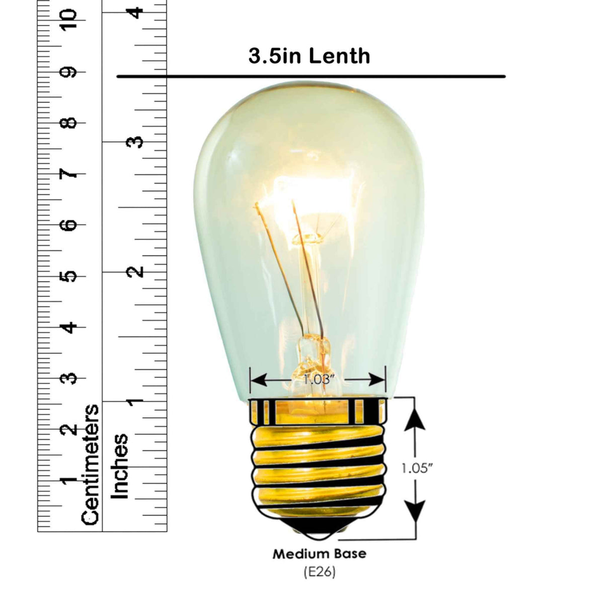 S14 Edison Light Bulbs - Lee Display
