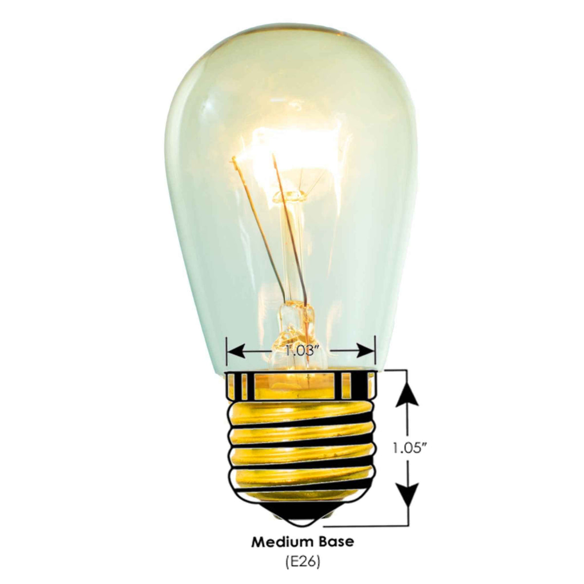 S14 Edison Light Bulbs - Lee Display