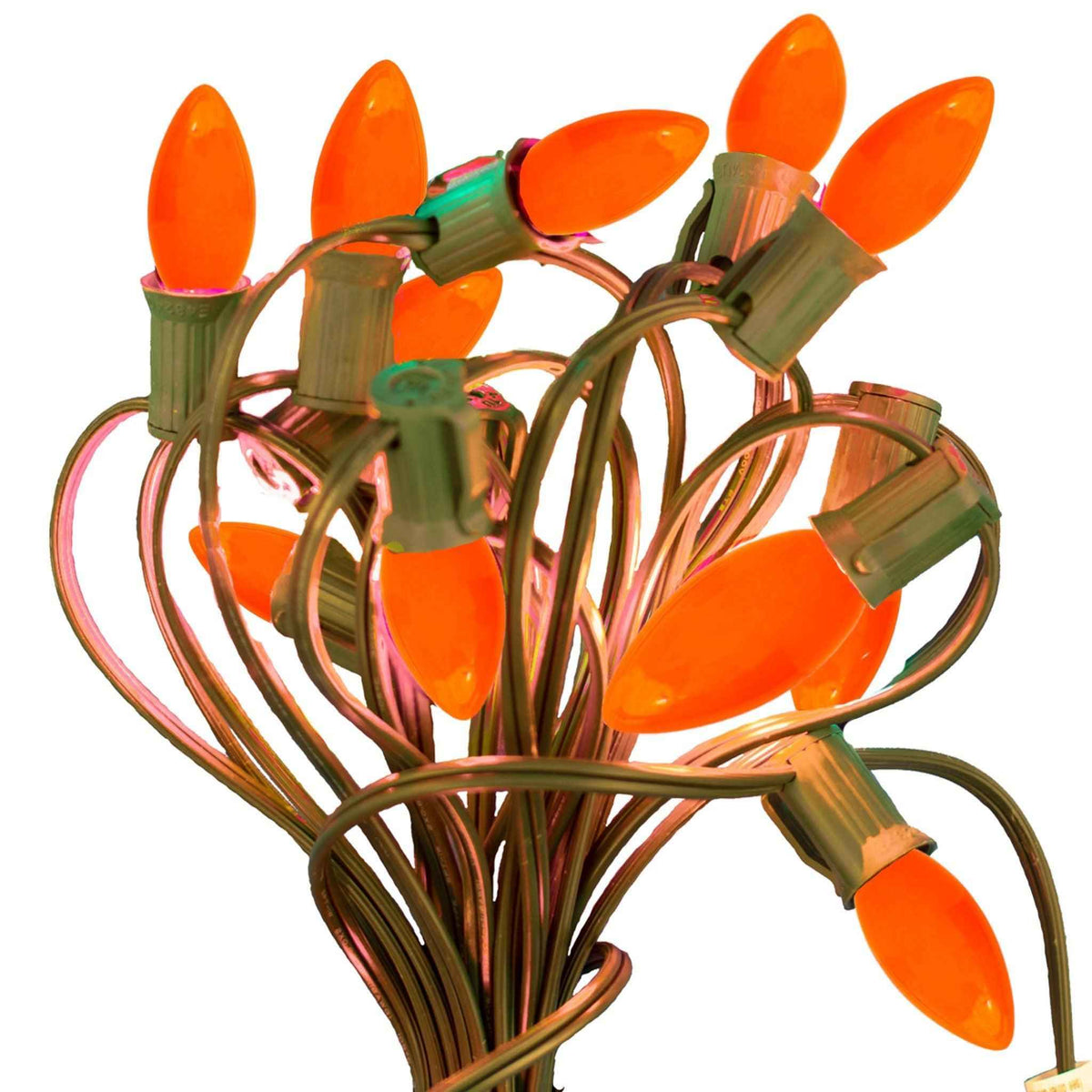 Solid Orange Lights - Lee Display