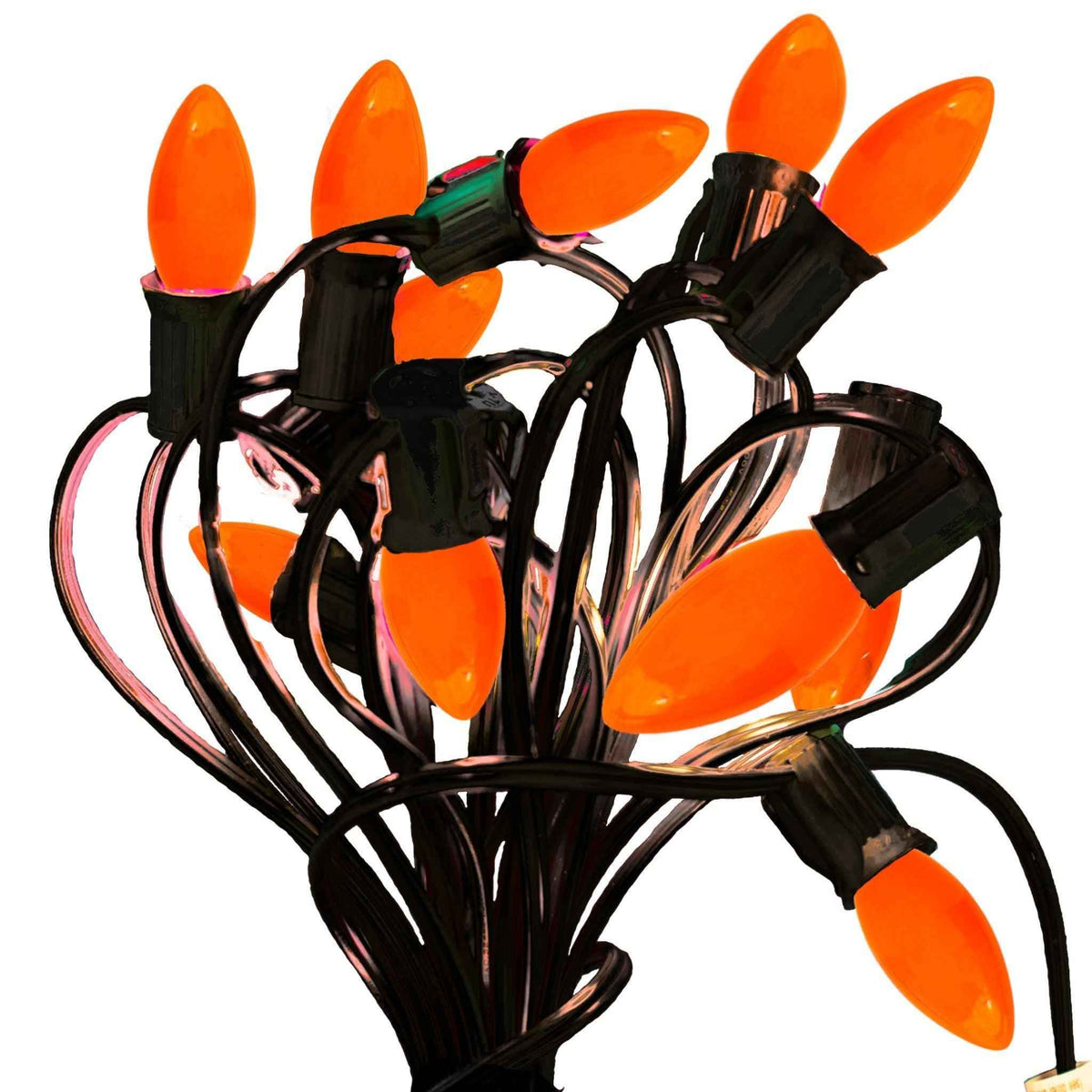 Solid Orange Lights - Lee Display