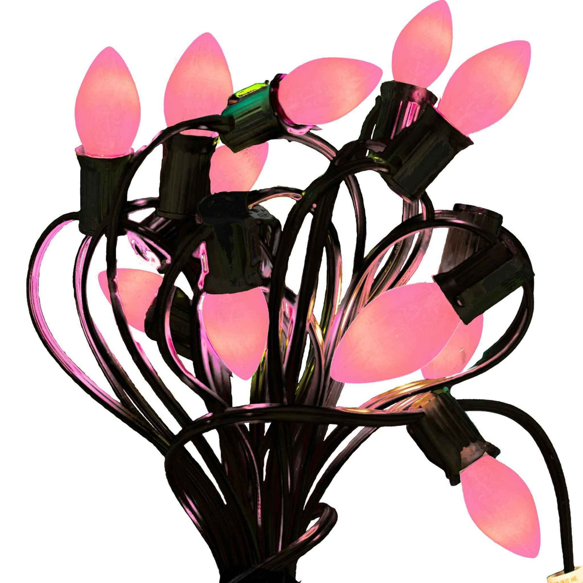 Solid Pink Lights - Lee Display