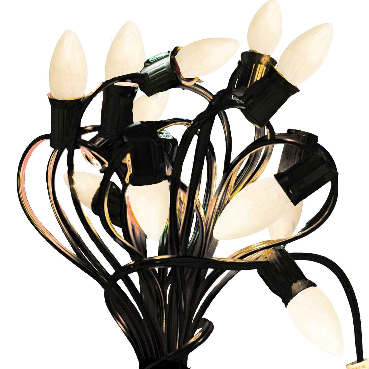 Solid White Light Bulbs - Lee Display