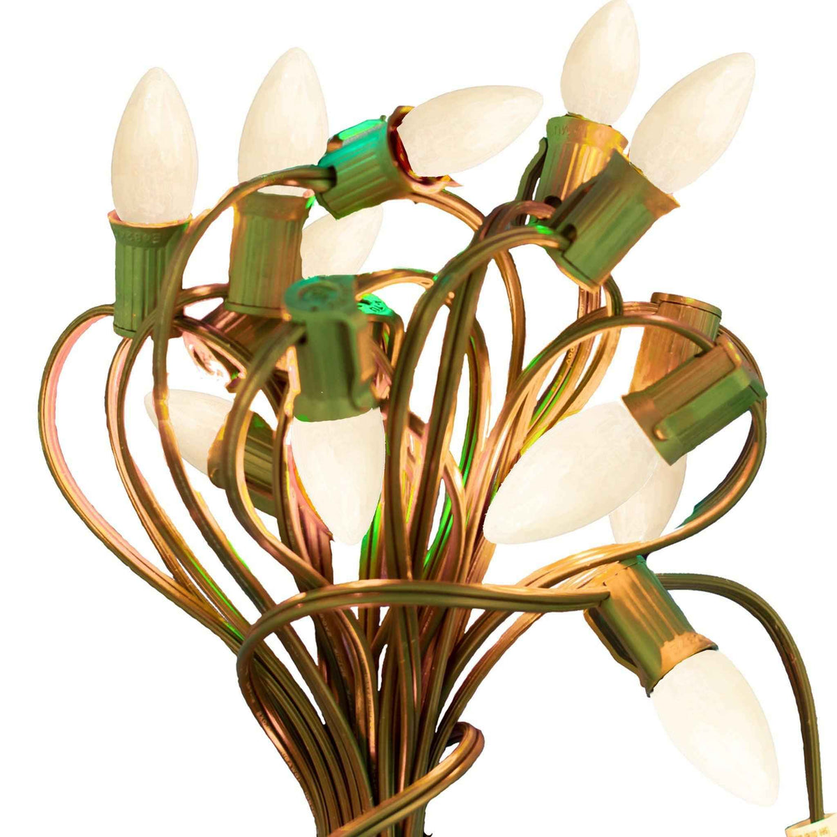 Solid White Light Bulbs - Lee Display