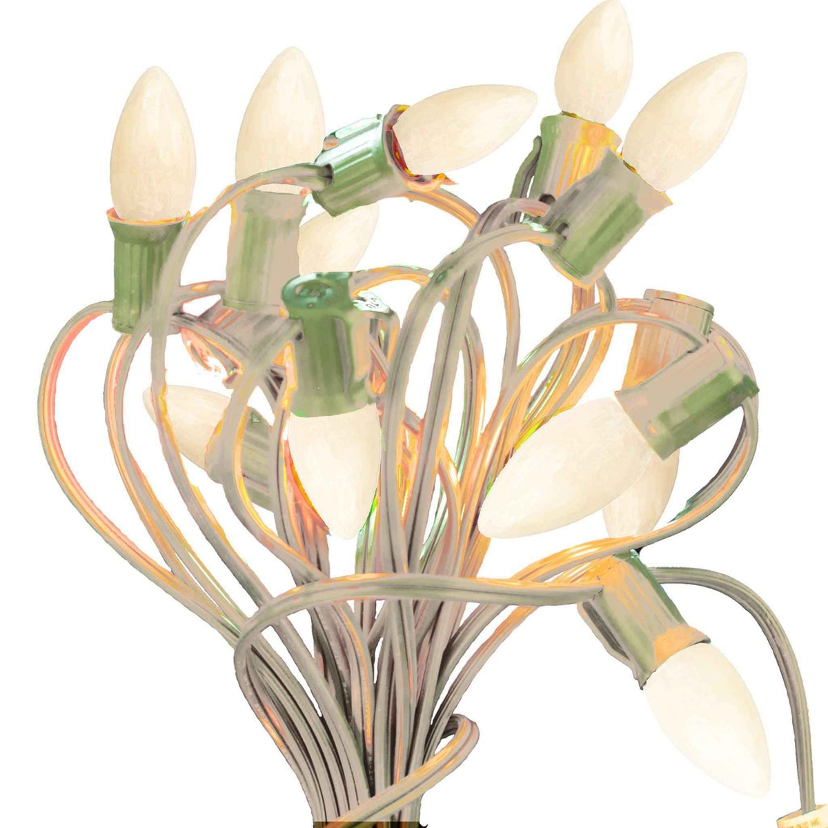 Solid White Light Bulbs - Lee Display