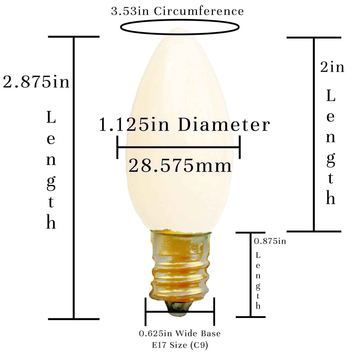 Solid White Light Bulbs - Lee Display