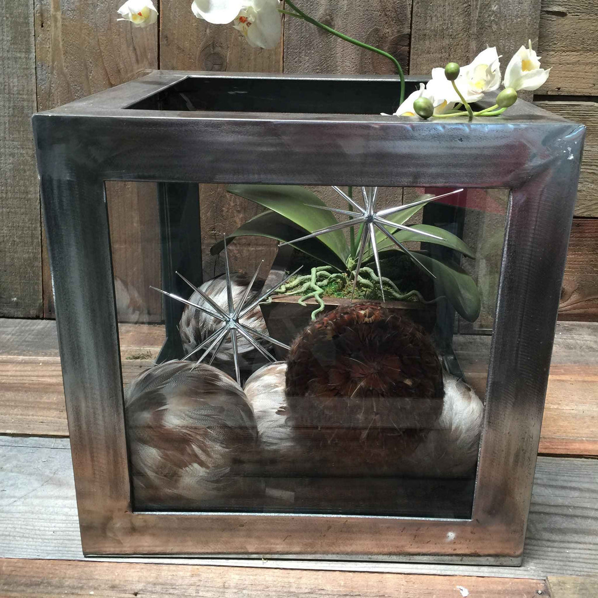 Steel Terrarium with Glass - Lee Display